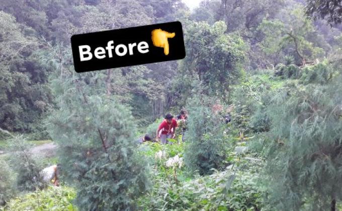 Clean environment for better world