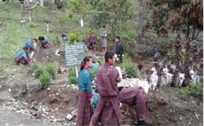 Making Of The Scout DEN         