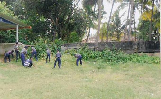 preservation of greenary