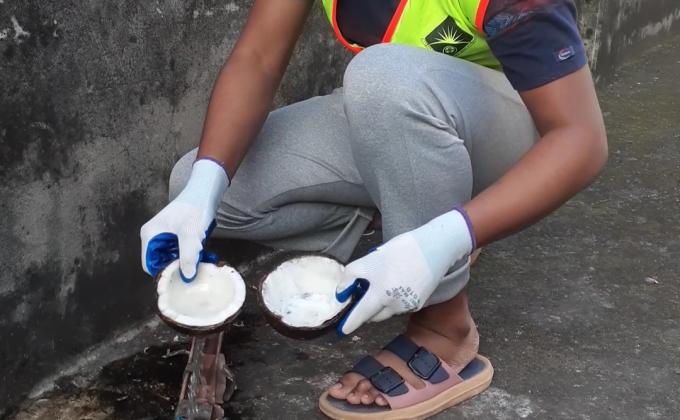 Fight Against Dengue!