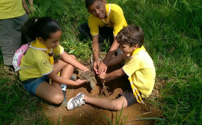 Plantio de Arvores - Trees For The World