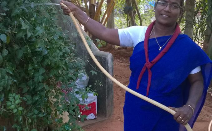 Tree  plantation 
