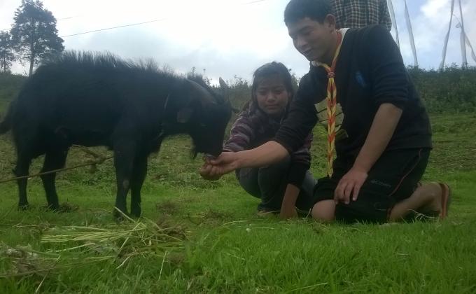 Love of a scout for animals.
