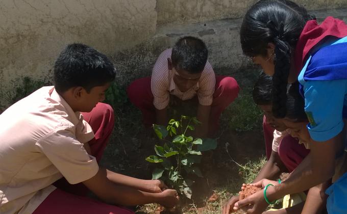 Tree  Planting 
