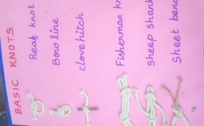 Knots 