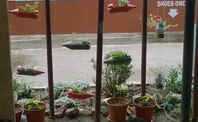  Vertical Hanging Garden - Eco-Friendly Pro (Nature Camouflaged)