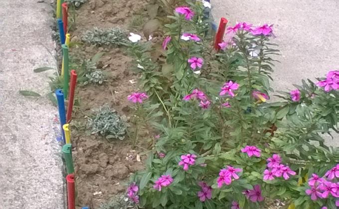 Peace & Nature Camouflaged With Flower Gardens