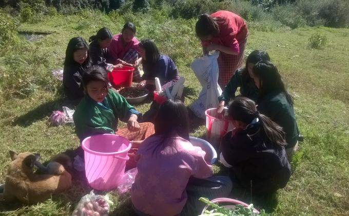 Class picnic 