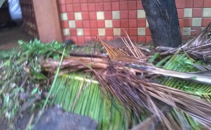 Vartha Cyclone & camp at Arumbakkam MMDA Govt.School