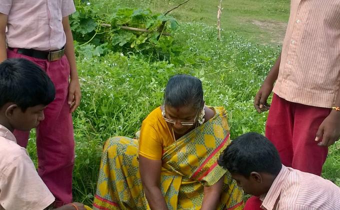 Tree  Plantation 