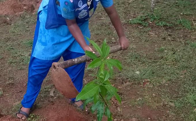 Ensure environmental sustainability. 