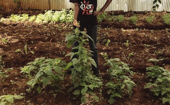 All Year Through Green Garden 