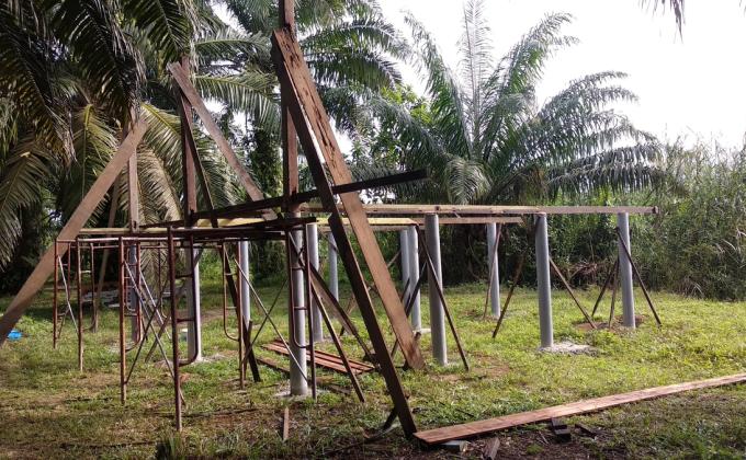 (Misa Island Goat Project: Update 11) Dirikan Tiang Kayu