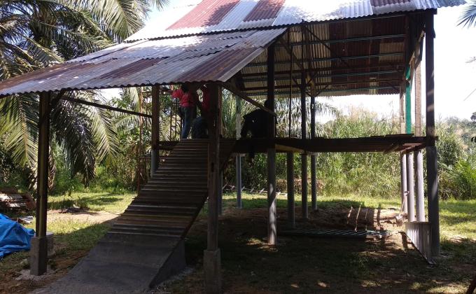 (Misa Island Goat Project: Update 14) Sambungan Kerja Pemasangan Atap