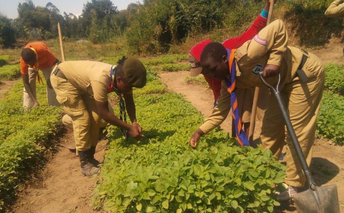FOOD FOR LIFE AND THE FUTURE OF AGRICULTURE - TANZANIA