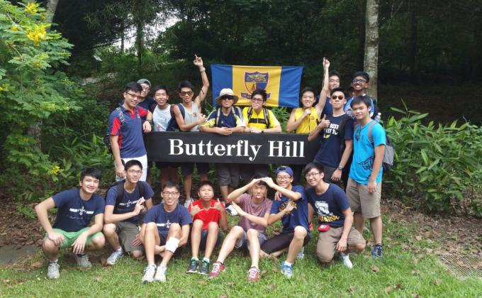 Removal of Invasive Plant Species from Pulau Ubin's Butterfly Hill, Singapore