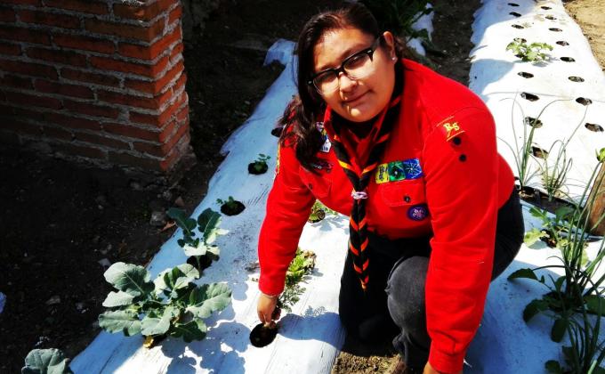  En Armonía con el ambiente(casa sustentable)
