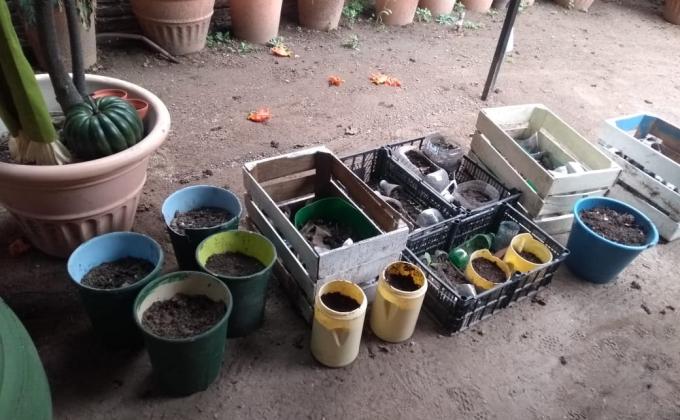 Scouts del Mundo; Proyecto "Todo Compostable"