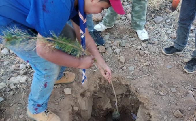 Apoyo campo escuela arani - reforestación 