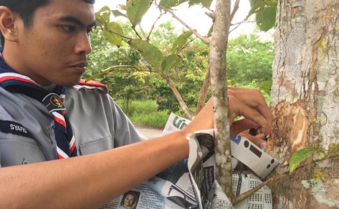 PEMELIHARAAN ALAM SEKITAR MELALUI PERTANIAN LESTARI