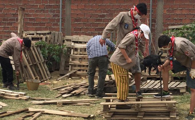 Servicio al hogar de perritos “Gamaliel”