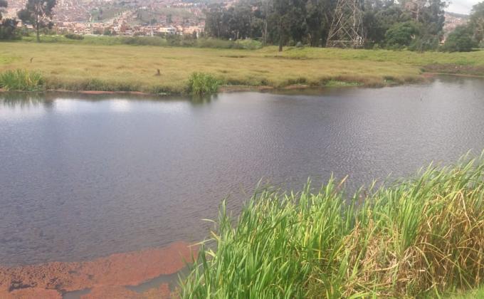 Proyecto de restauración del Humedal la libélula. (Biblioteca casa de la juventud)