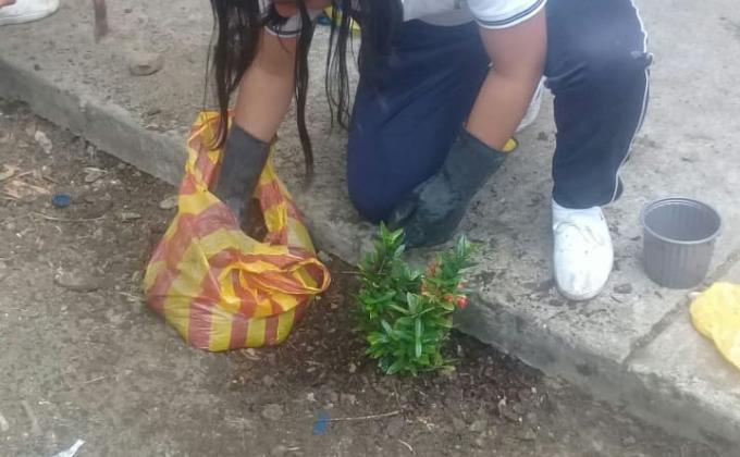 AYUDANDO AL MEDIO AMBIENTE CON LA TAPATON 2019