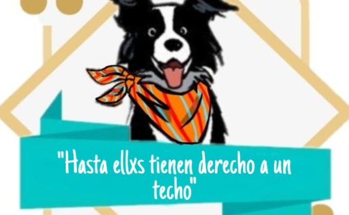 Cuchitas para perro