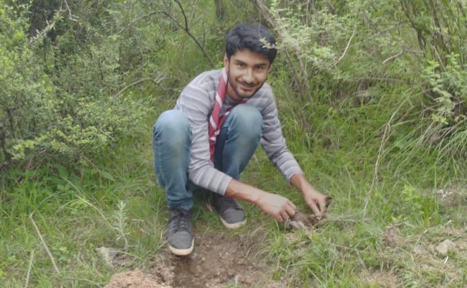 TREE PLANTATION 