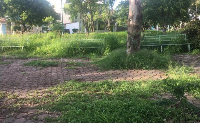 Rehabilitacion de Parque