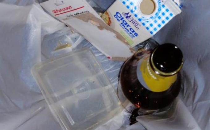 Insignia Mundial Mares Limpios