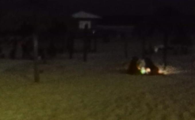 Mares limpios ORO por Yael Solis 