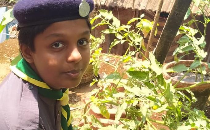 #bsgindia#stayathome#scouts4sdgs#plasticchallange#bsgptt#sankalpbyscoutguide SANKALP [B] Enviornment & Sustainbility Challange :4-#Goorganic- Scout Ajay krishna.P of 305th Kozhikpde St.Joseph's Scout Group, Kerala State Bharath Scouts and Guides