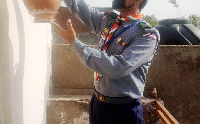 Save Birds College. Bundi