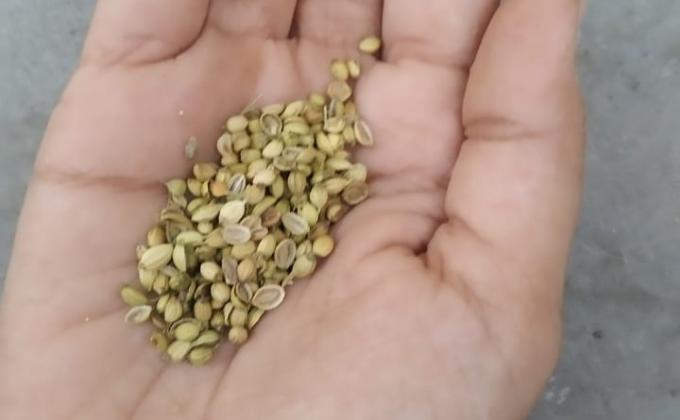 Sankalp - #Go Organic