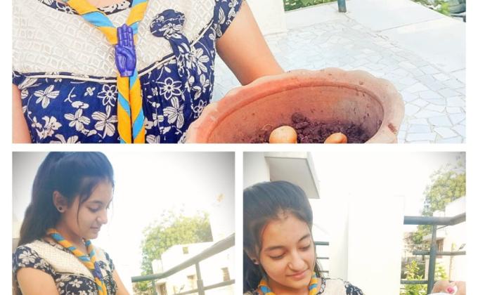 Sankalp - Group B - Challenge 4: #Goorganic