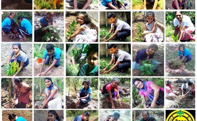 PLANTING TREE  -agains't COVID-19