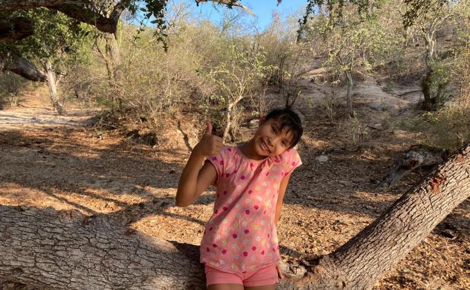 Limpia  tus arroyos  y playas y evitaras que se mueran muchos animales en el mar. 