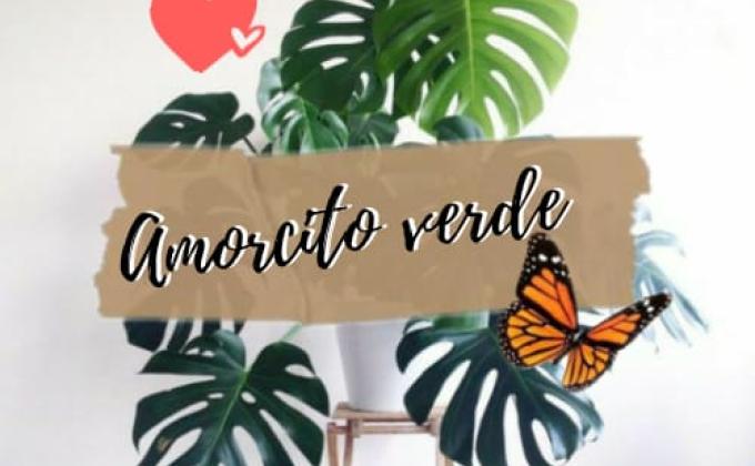 Amorcito Verde 