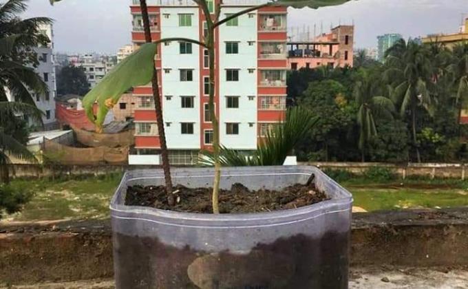 প্লাস্টিক টাইড টার্নার চ্যালেঞ্জ