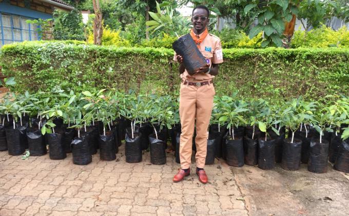 Planting of 100 Hass Avocado Seedlings