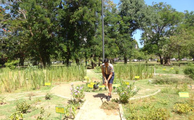 Tree Planting, Watering, Gardening Social Service Project at Viharamahadevi Park, Colombo