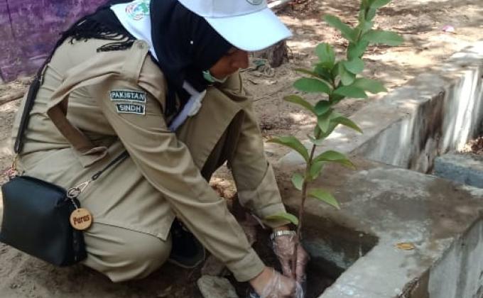 Tree Plantation and Traffic Controlling