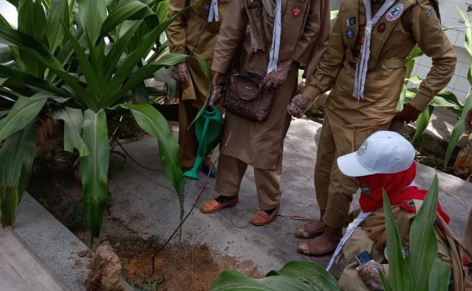 Clean & Green Actions