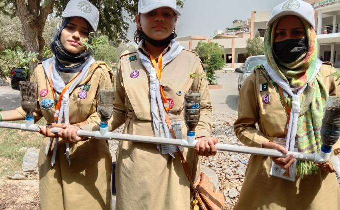 Green Wall & Tree Plantation