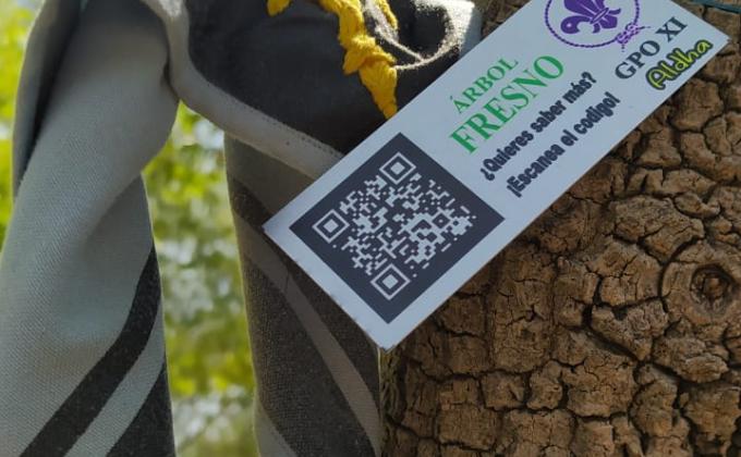 A LOS ÁRBOLES DILES POR SU NOMBRE