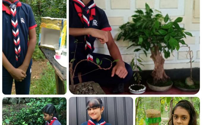 "Eco System Restoration" (World Environment Day 2021)