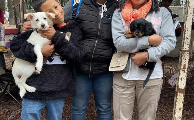 rescata y regala una oportunidad de vida