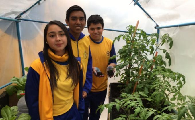 Fertilizante a Base de pañales