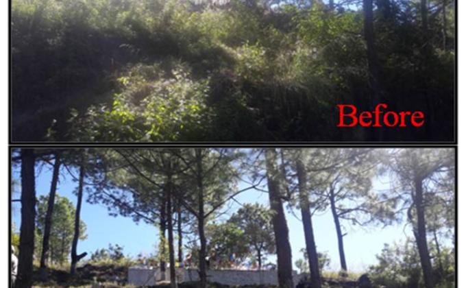 Revitalizing the sacred place